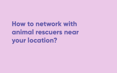 How to network with animal rescuers near your location