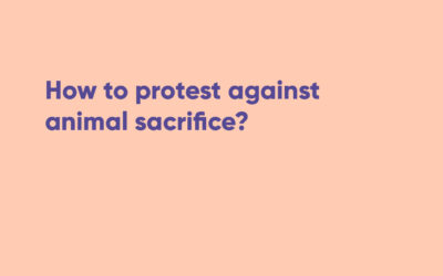 How to protest against animal sacrifice?